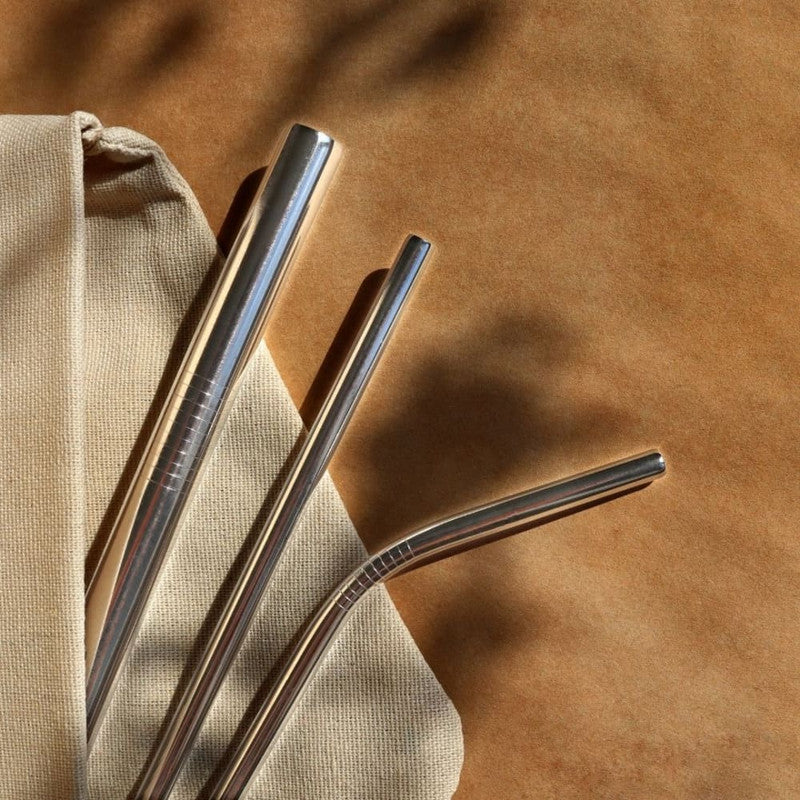 Stainless Steel Straws With Cleaner | Set of 2