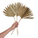 Decor Palm Leaf | Dried Flower | Natural | 10 Stems | 15 inch