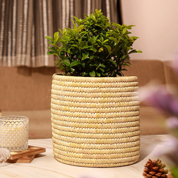 Datepalm Planter | Storage Basket | Ochre Yellow | 18 cm