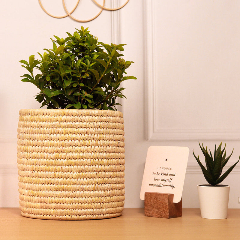 Datepalm Planter | Storage Basket | Ochre Yellow | 18 cm