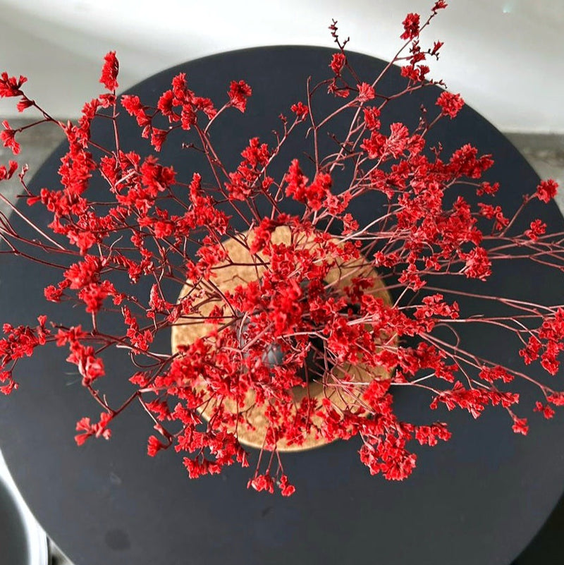 Ruby Dried Flower | Red | 40 cm
