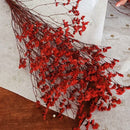 Ruby Dried Flower | Red | 40 cm