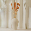 Dry Sticks Decor | Millet Bajra Stems | Orange