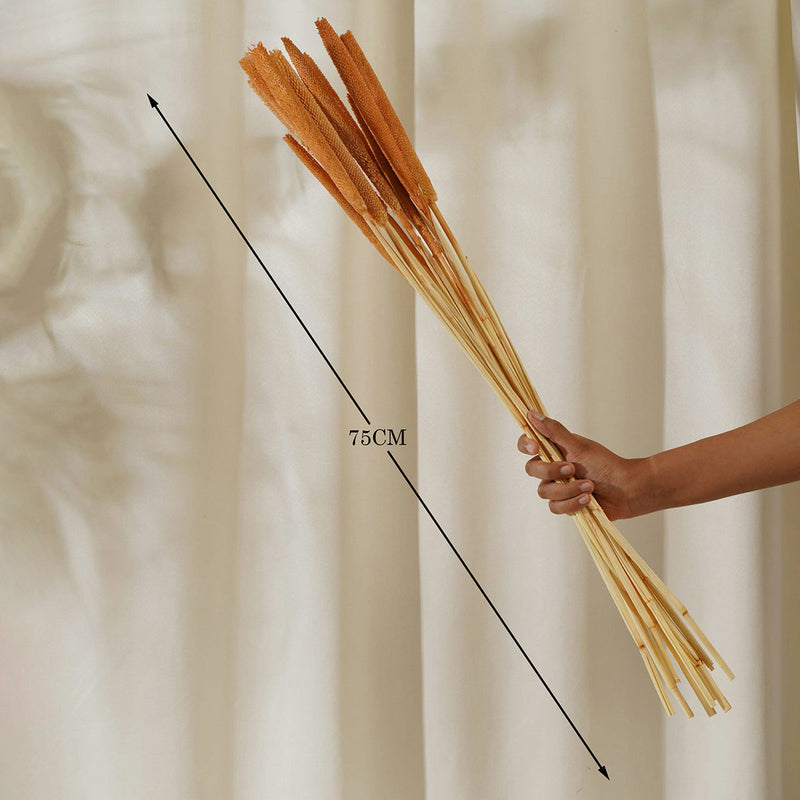Dry Sticks Decor | Millet Bajra Stems | Orange