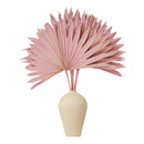 Dry Sticks for Vases | Sun Spear | Pink | 5 Pcs