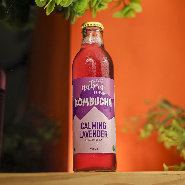 Kombucha | Calming Lavender | Digestive Enzymes | 250 ml | Pack of 12