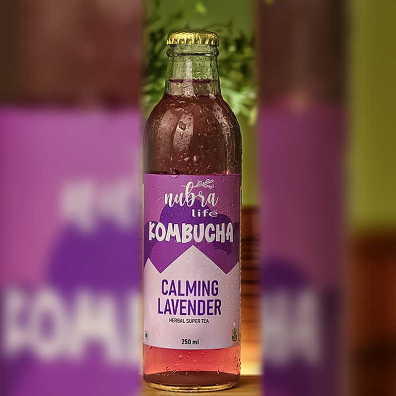 Kombucha | Calming Lavender | Digestive Enzymes | 250 ml | Pack of 12