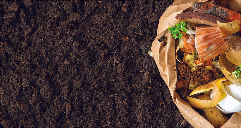 10 Things to Throw in Your Compost Bin – Some That May Surprise You