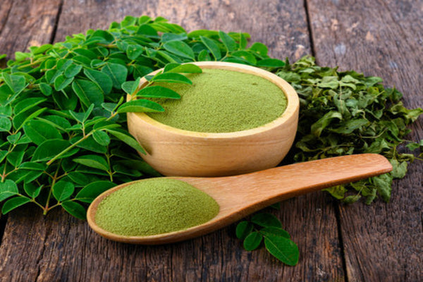 Discover Moringa Powder Benefits for Women's Wellness