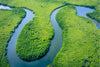 Celebrate World Rivers Day By Reducing Your Water Footprint