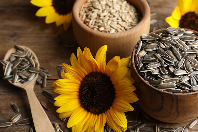 Benefits of Sunflower Seeds