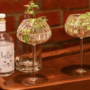 Wine Glasses Set | Transparent | 400 ml | Set of 2