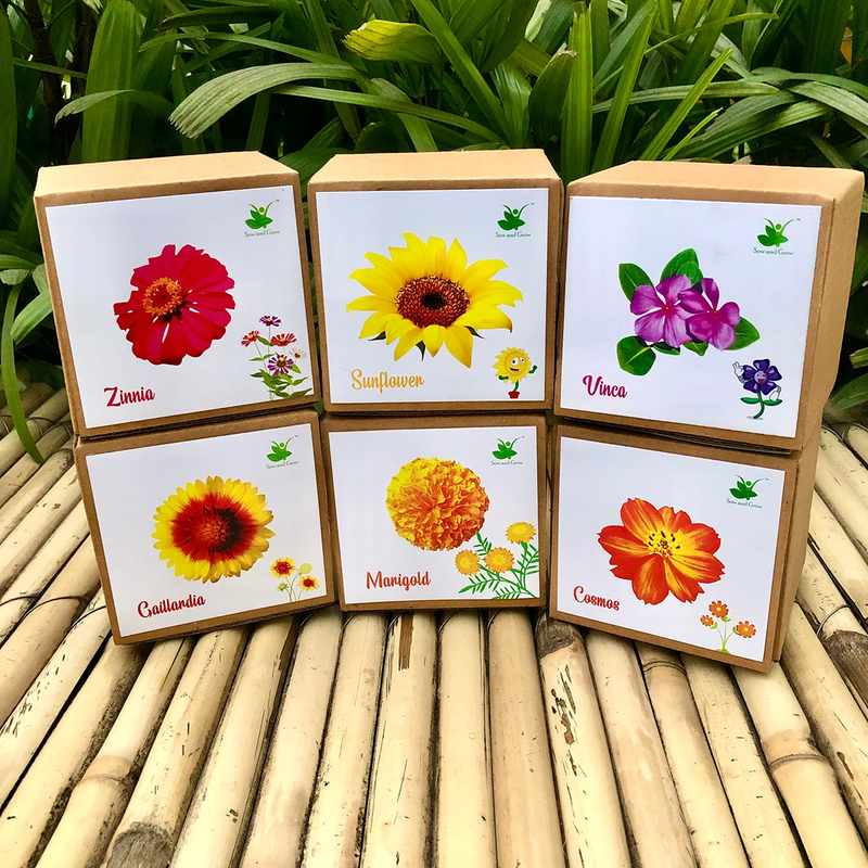 DIY Gardening 6 Flower Kits Combo | Marigold + Sunflower + Cosmos + Vinca + Gaillardia +Zinnia