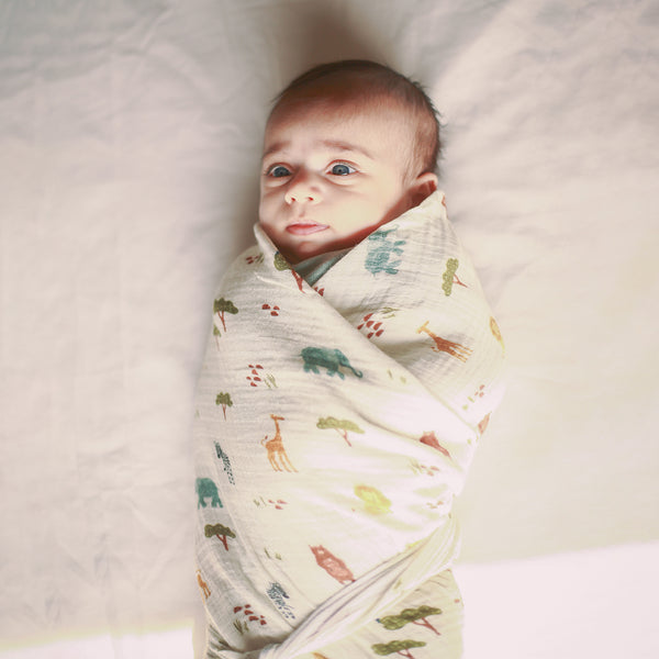 Organic Muslin Baby Swaddle | Printed | Set of 3 | 105 x 105 cm