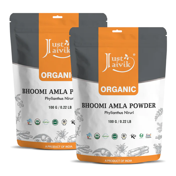 Bhumi Amla Powder | Organic | 100 g | Pack of 2