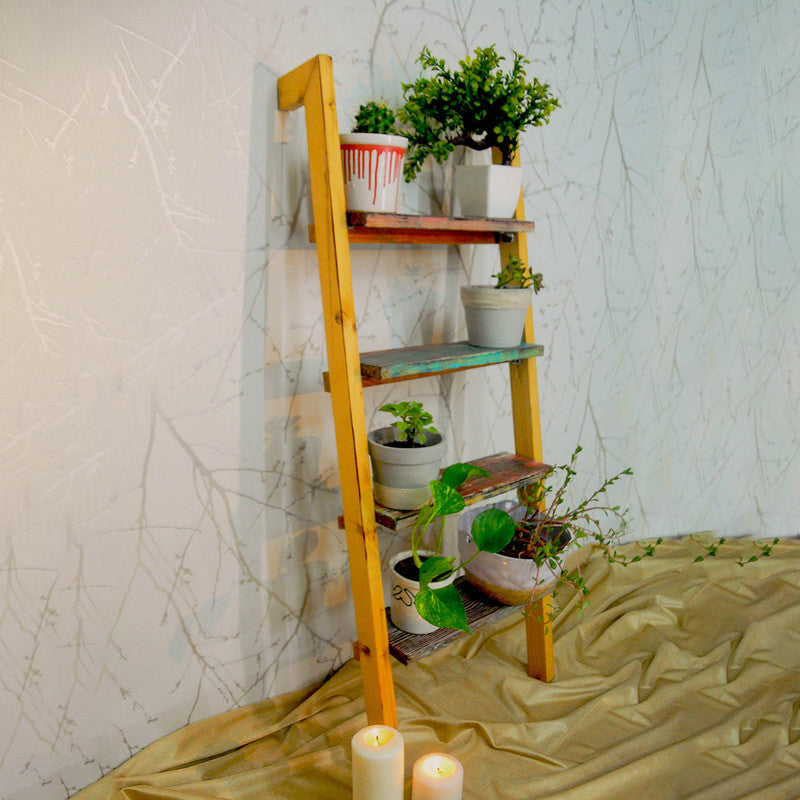 Multipurpose Wooden Ladder Shelf | Planters & Books | Multicolour