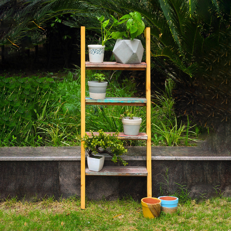 Multipurpose Wooden Ladder Shelf | Planters & Books | Multicolour