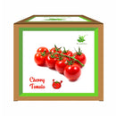 DIY Cherry Tomato Gardening Kit