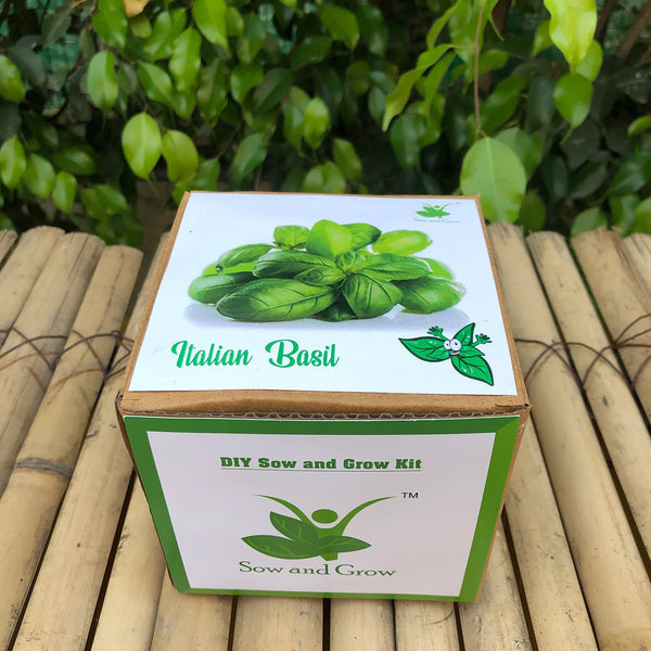 DIY Italian Basil Genovese Gardening Kit