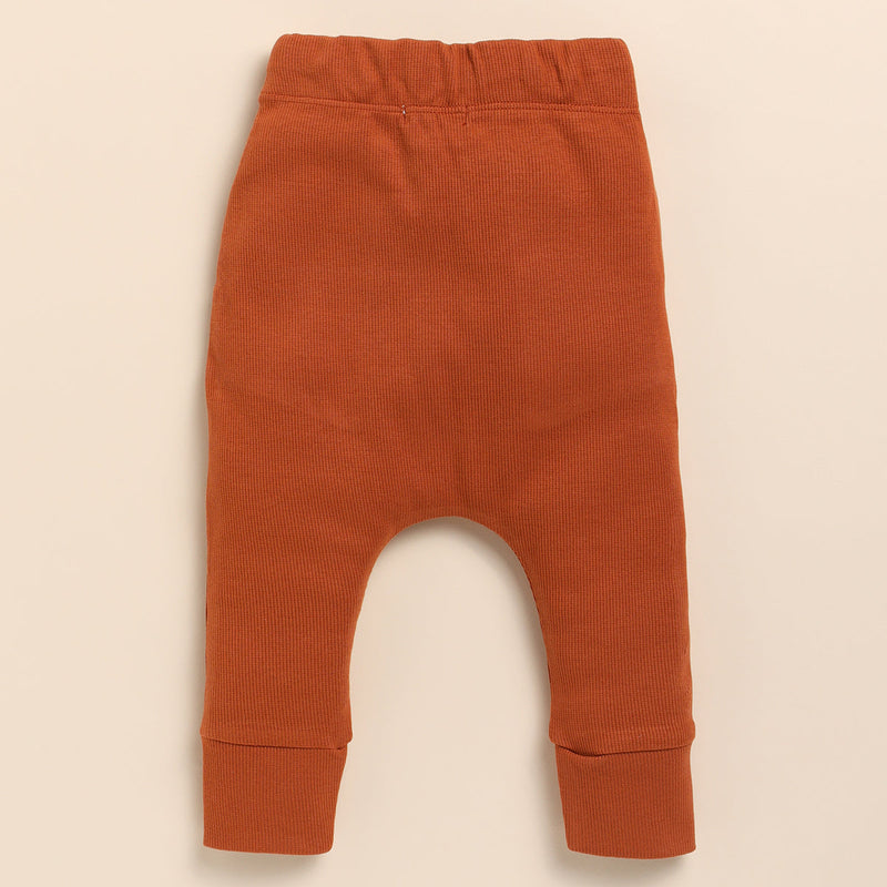 Organic Cotton Baby Clothes Set | Bodysuit with Pants | Mittens & Booties | Beanie | Ginger Brown