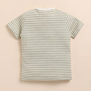 Cotton Cort Set | T- Shirt With Shorts | Dewkist Stripe | Green