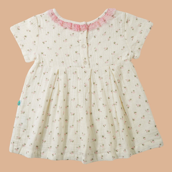 Cotton Baby Girl Frock Dress | with Bloomers | Creme Beige