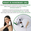 Rosemary Essential Oil | Promote Hair Growth |  15 ml