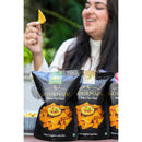 Pita Chips Snacks Combo | Roasted Garlic and Olive & Herbs | Starter Chips | Healthy Snack | 125 g Each | Pack of 3