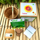 DIY Gardening 6 Flower Kits Combo | Marigold + Sunflower + Cosmos + Vinca + Gaillardia +Zinnia