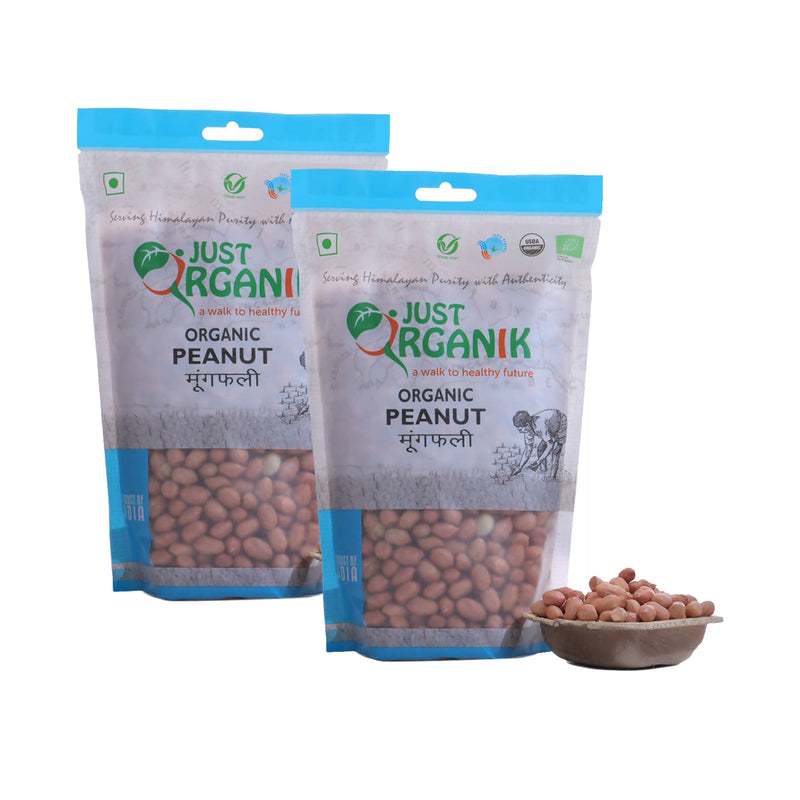 Fasting Food | Peanut | Organic | 500 g | Pack of 2