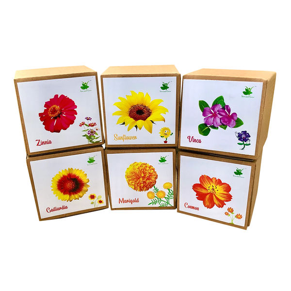 DIY Gardening 6 Flower Kits Combo | Marigold + Sunflower + Cosmos + Vinca + Gaillardia +Zinnia