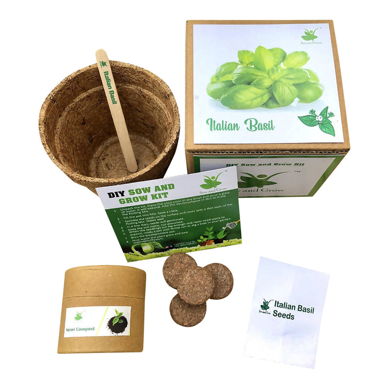 DIY Italian Basil Genovese Gardening Kit