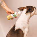 Organic Dog Shampoo | Tick Me Not | 100 ml