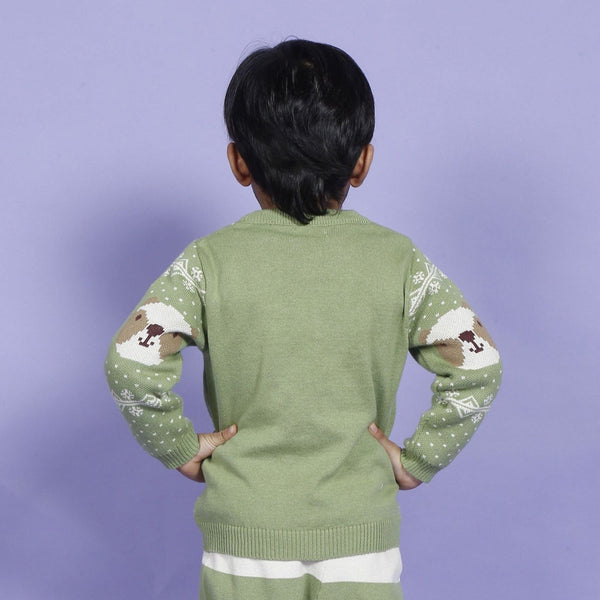 Cotton Sweater for Babies & Kids | Bear Design | Pistachio Green