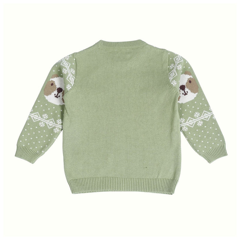 Cotton Sweater for Babies & Kids | Bear Design | Pistachio Green