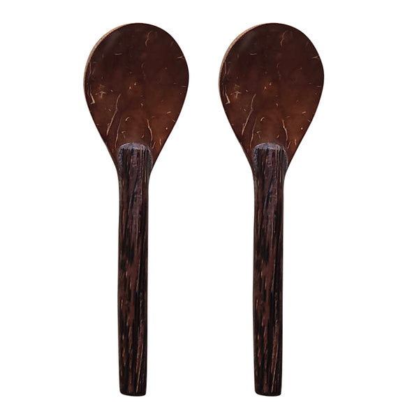 Coconut Shell Spoons Set of 2