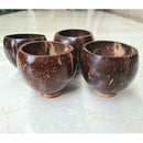 Eco friendly Coconut Shot Glass Set of 4