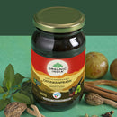 Organic India Chyawanprash | 500 g | Pack of 2 | Improves immune system.