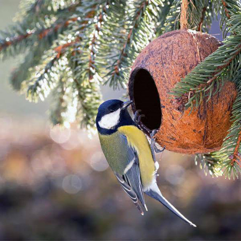 Bird Feeder | Coconut Shell Bird House With Hanging Rope | Bird Nest.