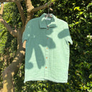 Cotton Collar Shirt for Kids | Sea Weed