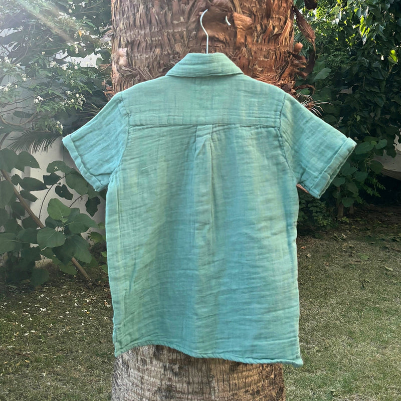 Cotton Collar Shirt for Kids | Sea Weed