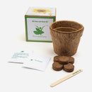 Eco friendly Gifts | DIY Gardening Kit | Sunflower