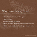 Roti Box | Moonj Grass | Gold