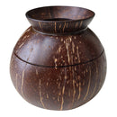 Coconut Shell Planter | Pot Shaped | Brown