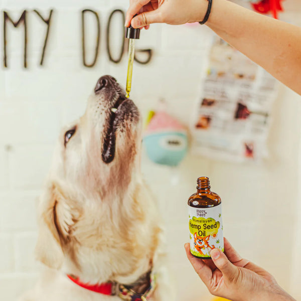 Hemp Seed Oil for Dogs | 100ml