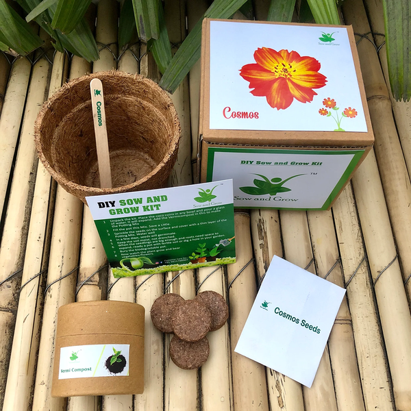 DIY Gardening 6 Flower Kits Combo | Marigold + Sunflower + Cosmos + Vinca + Gaillardia +Zinnia