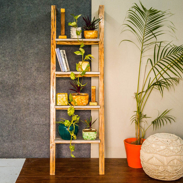 Wooden Ladder Shelf | Book Shelf | Planter Stand | White & Brown.