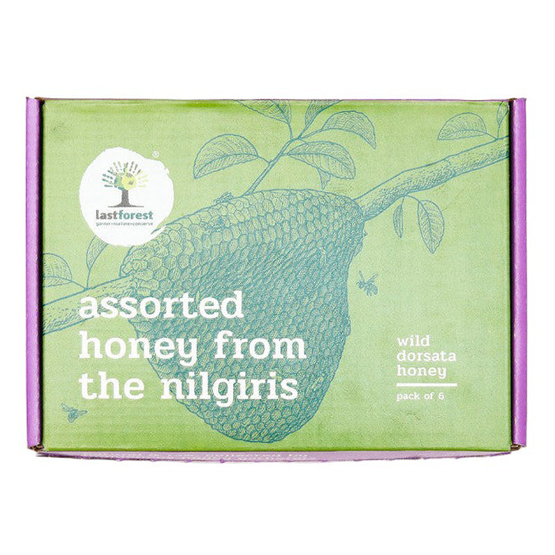 Assorted Honey Gift Box | 25 g Each | Set of 6