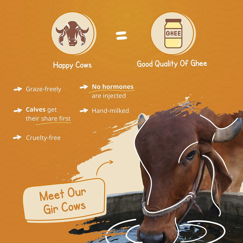 A2 Gir Cow Desi Ghee | Bilona Method | Cultured | Immunity Booster | Pure, Natural & Healthy | 500 ml