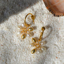 Earrings for Women | Real Pearls | 24K Gold Plated